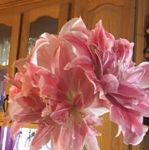 Meet your Posher, Karen